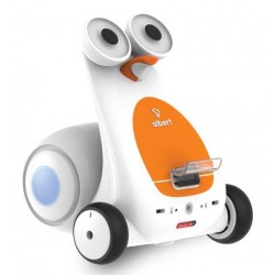 Albert Smart Robot