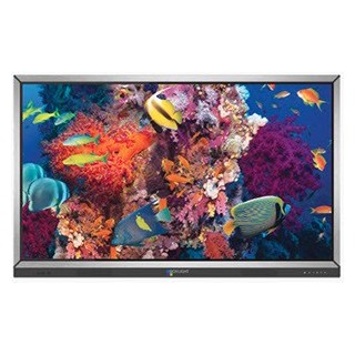 Pantalla Interactiva Boxlight Procolor 752U